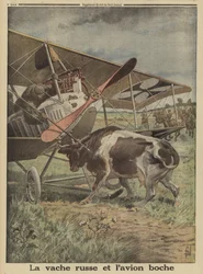 Vaca impedindo um avião alemão de decolar, Lutsk, Rússia, Primeira Guerra Mundial