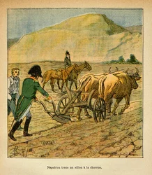 Ilustração de Bombled Louis (1862-1927) do livro "O Memorial de Santa Helena" do Conde Emmanuel de Las Cases (1766-1842): Em Santa Helena, O Imperador Napoleão traça um sulco até a charrua, Coleção Particular