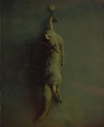 Raposa, ca. 1870.