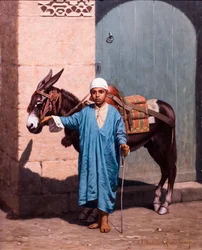 Criança e burro