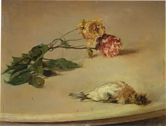 Pássaro morto e duas rosas sobre um tampo de mesa