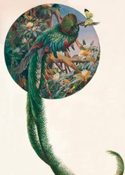 «Trogões-de-cauda-comprida», cerca de 1910, 1911