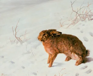 Lebre na neve, 1875