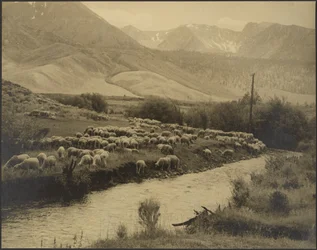 Um prado de montanha