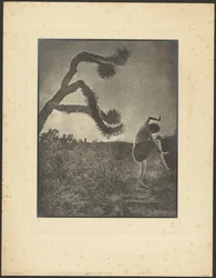 Dança Apache