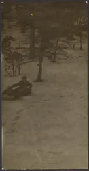 [Boy Sledding Down Hill]