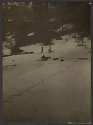 [Criança a descer a colina de trenó].