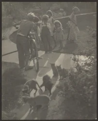 [Crianças e gatos]