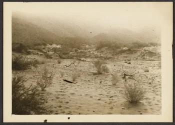 [Coyote Canyon]