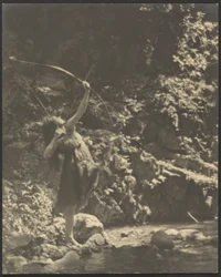 [Arqueira no bosque]