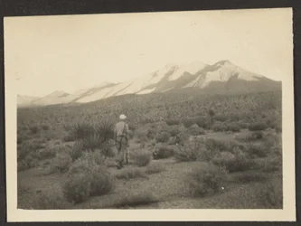 [Figura em paisagem].