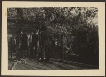 [Figuras no bosque].