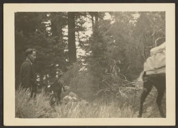 [Figuras numa paisagem arborizada].
