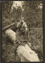 [Fleckenstein num tronco]