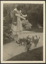 [Florence e gatos]