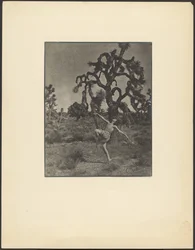 Inspiração da dança