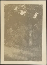 [Paisagem]