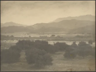 [Paisagem com árvores baixas].
