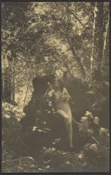 [Mulher nua no bosque]