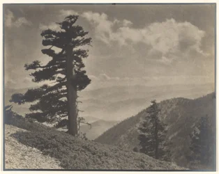 [Em Ridge para Old Baldy]