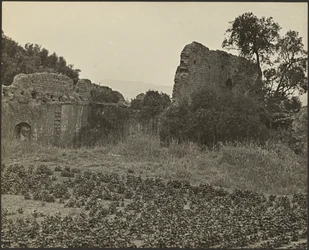 Ruínas da Missão Purisima Concepcion