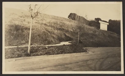 Milhoes de Oaks