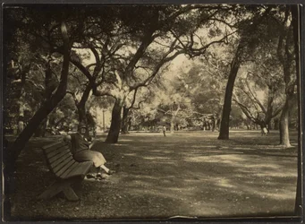 Mulher num parque