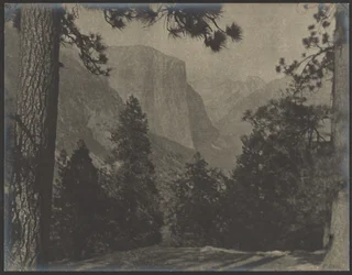 Yosemite, através dos pinheiros