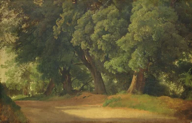 Carvalhos em Holstein (óleo sobre papel em madeira)