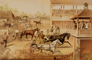 Prontos para o trote Tragam os vossos cavalos