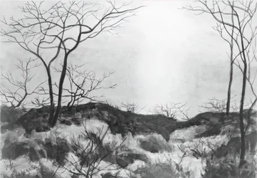 paisagem