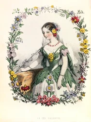 Alegoria , a Taxa Fleurette