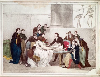 A Aula de Anatomia (litografia