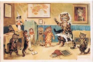 O gato traquinas, postal, década de 1960