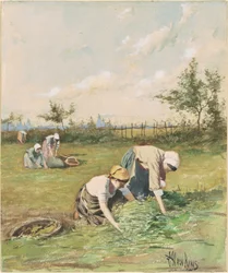 Catadores no Campo