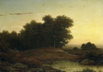 Vista na floresta ao pôr-do-sol