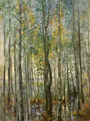 Uma floresta. Inundações no lago Starnberg