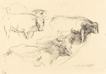 Vacas Vacas, 1910.