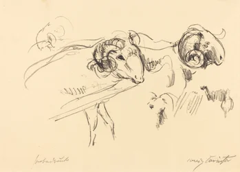 Ram Rams, 1912.