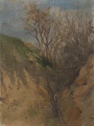 Vala