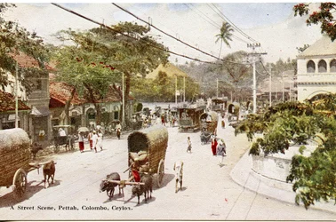 Uma cena de rua, Pettah, Colombo, Ceilão, c.1900-20 (fotografia colorida à mão)