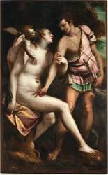 Pintura Venus e Adonis por Luca Cambiaso (1527-1585) Genes do século XVI, Musei di Strada Nuova (ex Palazzo Bianco)