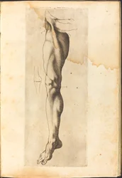 Imprimir do livro de desenho