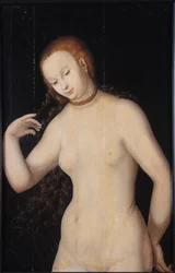 Vênus, entre 1527 e 1531.