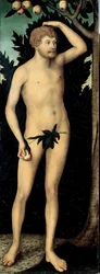 ""Adam"" Pintura de Lucas Cranach II, o mais novo (1515-1586) Depois de 1537 Dim 171 x 63 cm Alemanha Coleções de Arte Estatal de Dresden