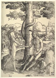 Queda do Homem, Adão e Eva, ca. 1514