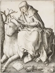 São Lucas
