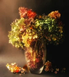 Natureza-morta com hortênsias a desvanecer