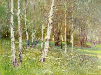 Uma paisagem arborizada