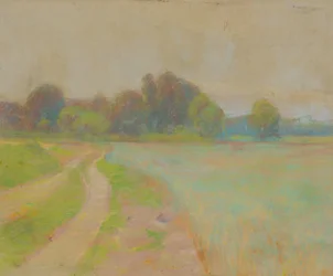 Estrada por um campo